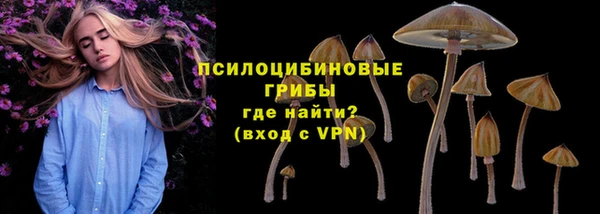 шишки Абдулино