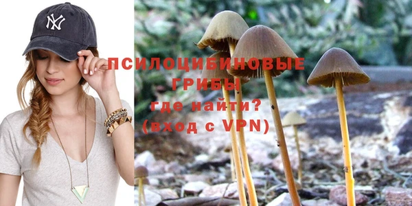 PSILOCYBIN Алексеевка