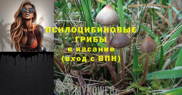 ALPHA PVP Алексин