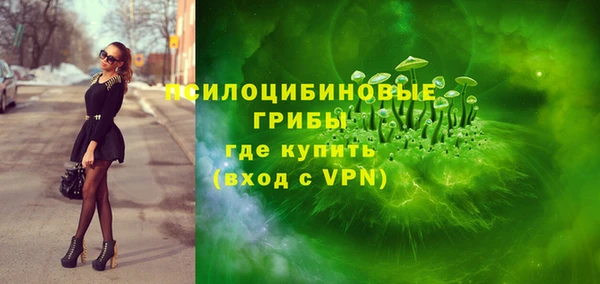 PSILOCYBIN Алексеевка